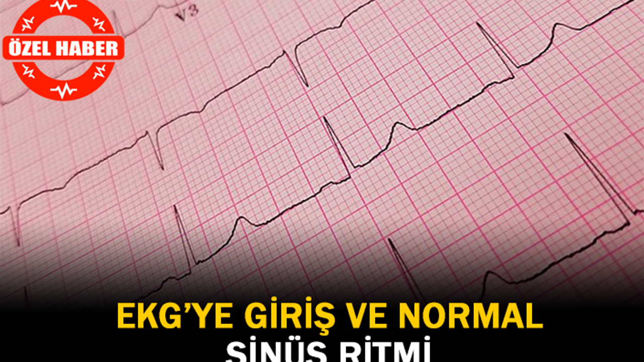EKG'ye Giriş ve Normal Sinüs Ritmi