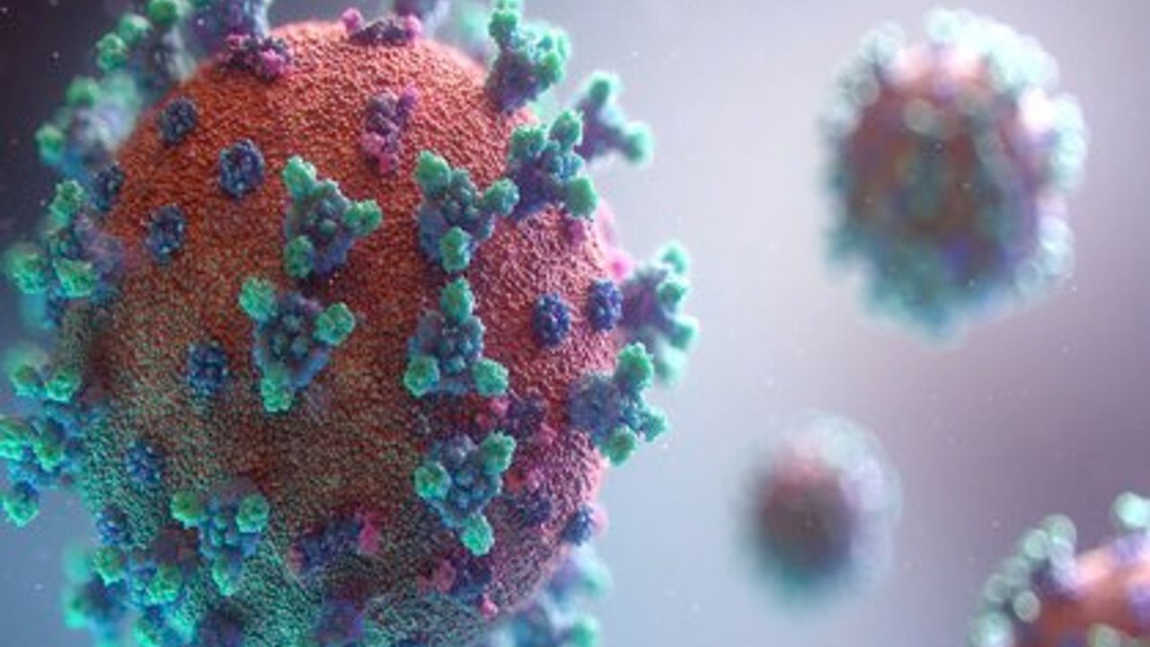Haftalık Coronavirüs Vaka Sayıları Açıklandı