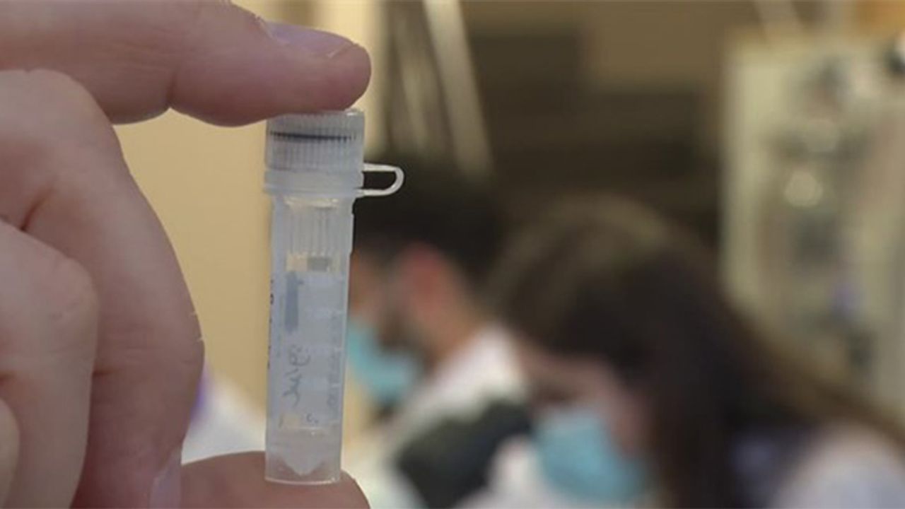 Kovid-19 DNA Aşısında İnsan Deneyi Aşamasına Gelindi