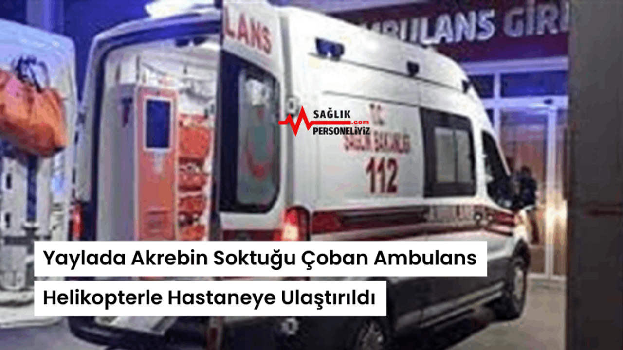Yaylada Akrebin Soktuğu Çoban Ambulans Helikopterle Hastaneye Ulaştırıldı