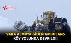 Vaka Almaya Giden Ambulans Köy Yolunda Devrildi!