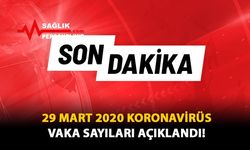 29 Mart 2020 Koronavirüs Vaka Sayıları Açıklandı