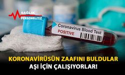 Koronavirüsün Zaafını Buldular Aşı İçin Çalışıyorlar