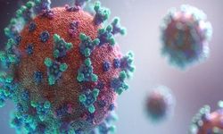 Haftalık Coronavirüs Vaka Sayıları Açıklandı