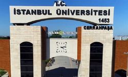 İstanbul Üniversitesi Cerrahpaşa 109 Sözleşmeli Personel Alacak