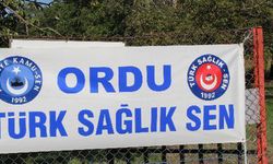Türk Sağlık Sen Ordu, Ziraat Bankkart Liralar İçin Sağlık Müdürlüğüne Başvurdu