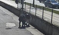 Jandarma Personelinin 'Heimlich' Manevrası, Küçük Çocuğu Kurtardı
