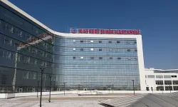 Sağlık Personelinden Sağlık Personeline Şiddet
