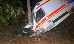 Bursa'da Ambulans Kamyonetle Çarpıştı: 5 Yaralı