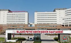 Elazığ Fethi Sekin Şehir Hastanesi 7 Ayda 1 Milyon 599 Bin Kişiye Hizmet Verdi