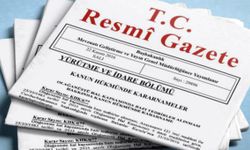 Sağlık Meslek Mensuplarının Serbest Meslek İcrası Hakkında Yönetmelikte Değişiklik