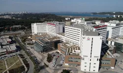 500 Hemşire Görevlendirme İle Başka İşlerde Çalışıyor