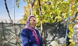 'Guatr Ameliyatında Ses Teli Kesildi' İddiası: 1.5 Yıl Geçti, Sesi Hala Yok!