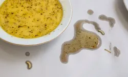 Sağlık Çalışanlarının Yemeğinden Solucan ve Kurtçuk Çıktı!
