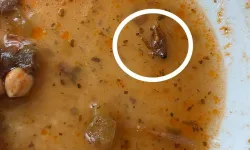 Gaziantep Üniversitesi Hastanesi'nde 'Böcekli Yemek' Skandal