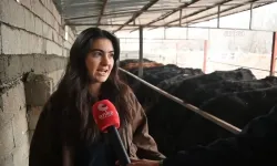 Atanamayan Hemşire Köyünde Besiciliğe Başladı