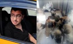 Köpeklere Cinsel İstismarda Bulunup Öldüren Doktor Hakkında Flaş Gelişme: İstinaf Kararıyla Dava Yeniden Görülecek