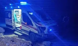 Siirt’te Hasta Taşıyan Ambulans Başıboş Ata Çarptı: At Telef Oldu