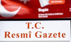 Doğum İzni Düzenlemesi Resmi Gazete'de Yayımlandı