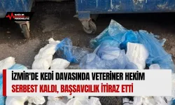 İzmir'de Kedi Davasında Veteriner Hekim Serbest Kaldı, Başsavcılık İtiraz Etti