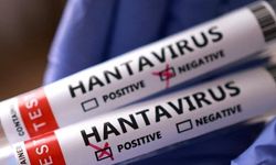 Sağlık Bakanlığı'ndan Korkutan 'Hantavirüs' İddialarına Yanıt: Türkiye'de Durum Ne?