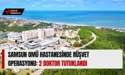 Samsun OMÜ Hastanesinde Rüşvet Operasyonu: 2 Doktor Tutuklandı