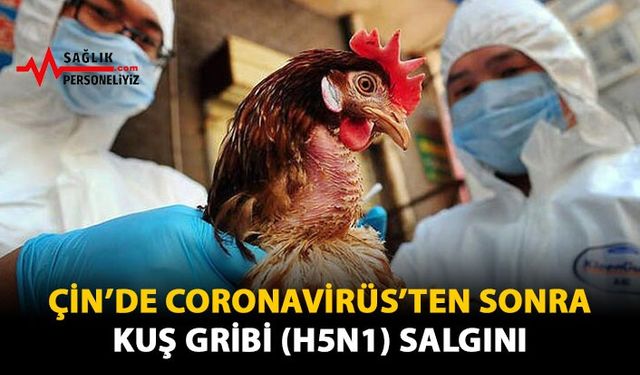 Çin'de Coronavirüs'ten Sonra Kuş Gribi (H5N1) Salgını