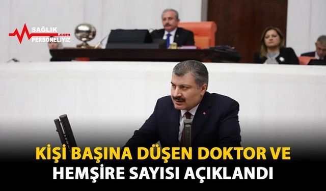 Kişi Başına Düşen Doktor ve Hemşire Sayısını Açıkladı