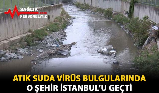 Atık Suda Virüs Bulgularında O Kent İstanbul'u Geçti