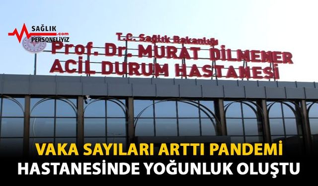 Vaka Sayıları Arttı, Pandemi Hastanesinde Yoğunluk Oluştu