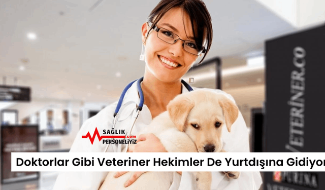 Doktorlar Gibi Veteriner Hekimler De Yurtdışına Gidiyor