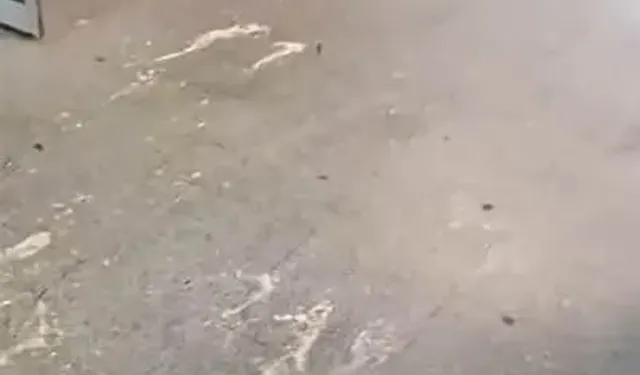 Devlet Hastanesi'nde Hijyen Alarmı: Koridorlar Kusmuk ve Çöplerle Doldu