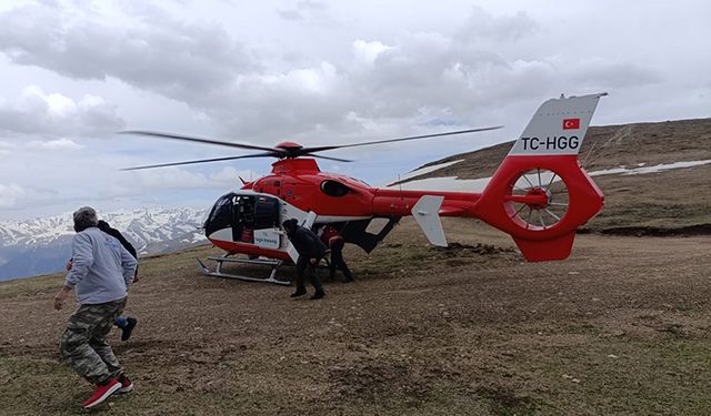 Yaylada Kalbi Durdu, Zamanında Müdahaleyle Hayata Döndü