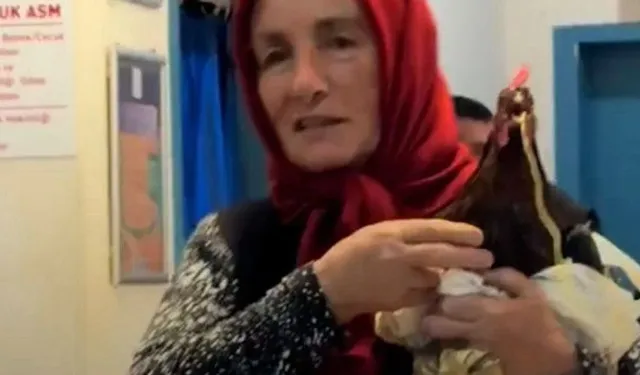 Hastanede Tavuk Ameliyatı