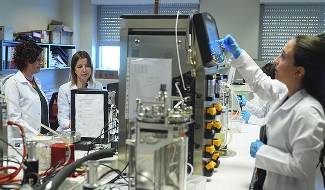 Türk Bilim İnsanlarından Gözdeki Sarı Nokta Hastalığı İçin Özgün İlaç