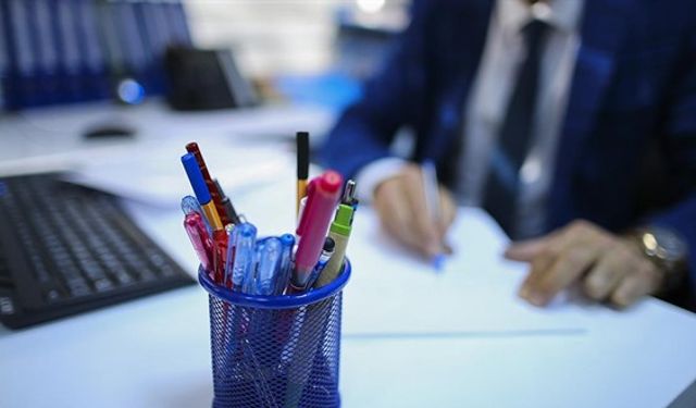 Kamuda Esnek Çalışma ve Liyakat Esaslı Atama Dönemi Programı