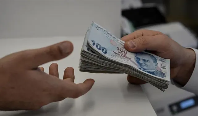 Memurlarda Zorunlu Tamamlayıcı Emeklilik Sistemi TES Nedir?