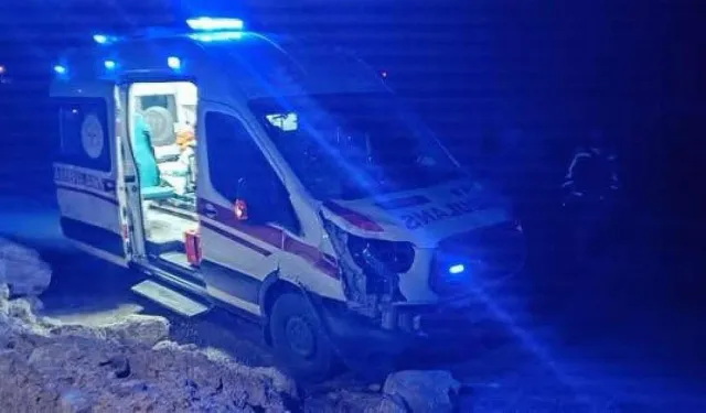 Siirt’te Hasta Taşıyan Ambulans Başıboş Ata Çarptı: At Telef Oldu