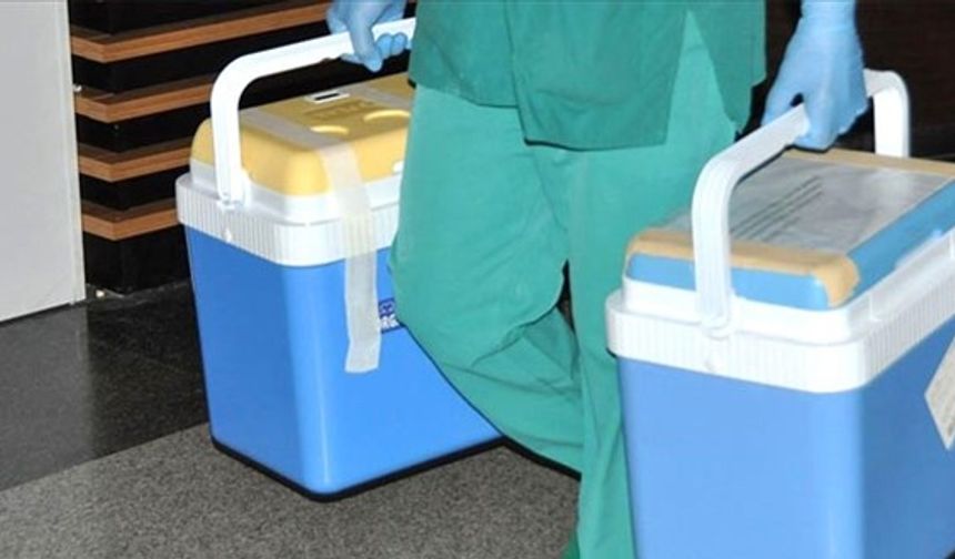 Beyin Ölümü Gerçekleşen Kadının Organları 3 Kişiye Umut Oldu