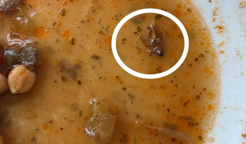 Gaziantep Üniversitesi Hastanesi'nde 'Böcekli Yemek' Skandal