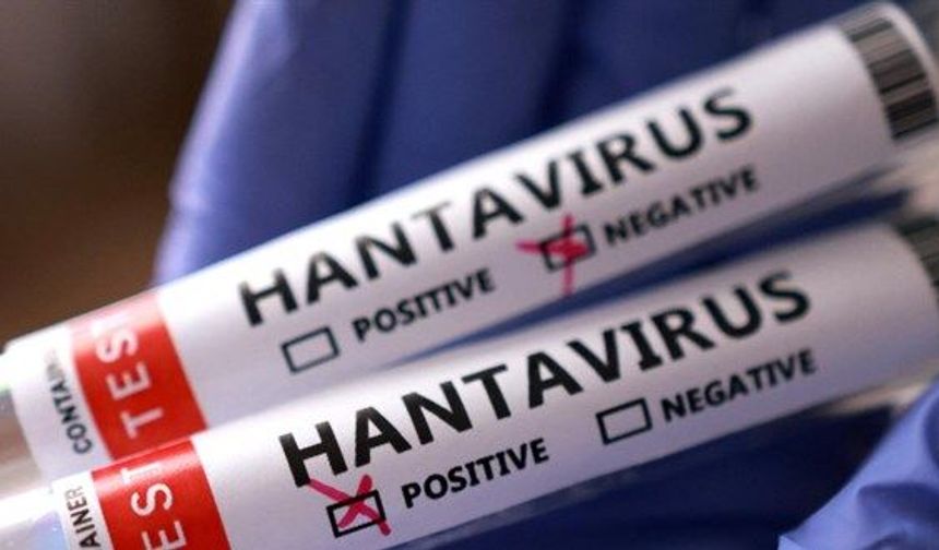 Sağlık Bakanlığı'ndan Korkutan 'Hantavirüs' İddialarına Yanıt: Türkiye'de Durum Ne?